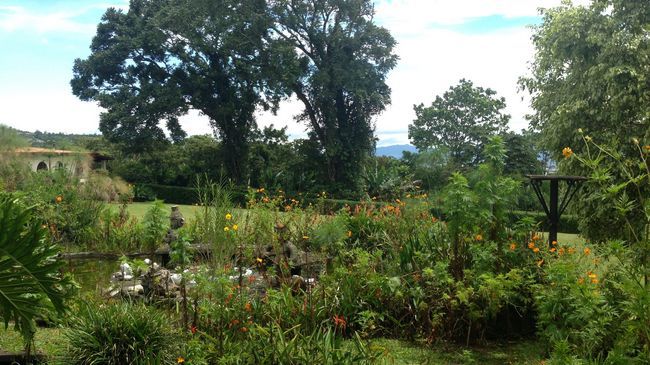 Hotel Desire Costa Rica Santa Barbara de Heredia Εξωτερικό φωτογραφία
